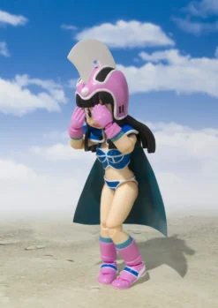 Bandai S.H.Figuarts Dragon Ball Chi-Chi -Toy Sale Store 154f3621e8e14ce297d98bb15bcd03d7.jpg