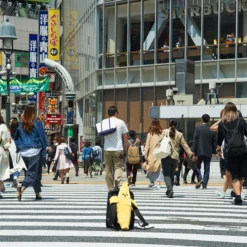 Elite Banana Banao Peelable Medium Plush -Toy Sale Store 4671ecf07ac64e9eb7fe5b42f9811c33.jpg