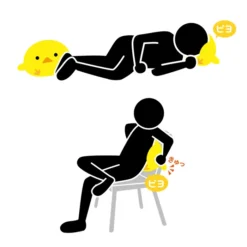 MOGU Piyo Beanbag Cushion Plush Collection -Toy Sale Store 62684e6a38c14e908596bcafeed54ff3.jpg