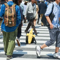 Elite Banana Banao Peelable Medium Plush -Toy Sale Store 69ef3e6bfa6346ccb68eb90806001c41.jpg