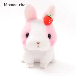 Kyun To Naki Usagi Noichigo Pika Plush Collection (Standard) -Toy Sale Store 6f9d9c8c5b5248b89635651d20c698eb.jpg