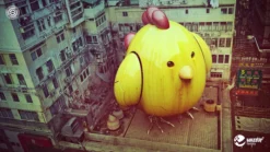 Q-mech Battle Chicken Orignal 41 Q-mech Battle Chicken Orignal -Toy Sale Store 8f4a2648b1b04f7380c34f5ab53acf41.jpg