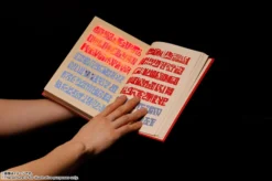 Bandai Proplica Zatch Bell! Red Spellbook -Toy Sale Store 8fc6d896855b489dbf60ee2867b74d37.jpg