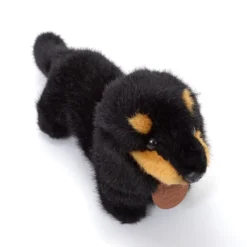 Graceful Small Dachshund Plush -Toy Sale Store a36583e698614d10a2ac67ef2e95b1c2.jpg